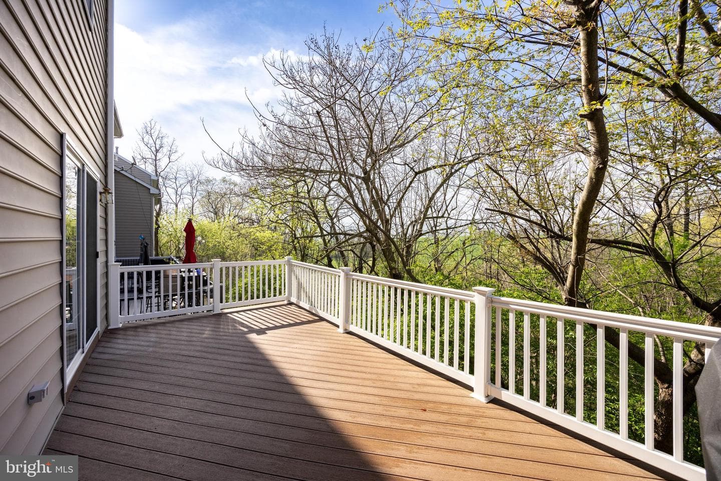 110 Mulberry Court photo 22