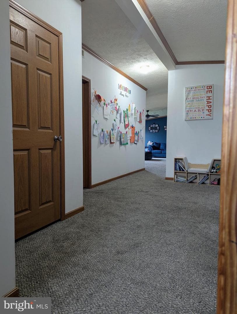 3 Hawthorne Lane photo 45