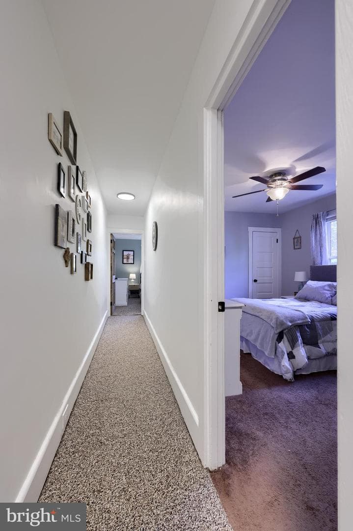 203 Intervilla Avenue photo 15
