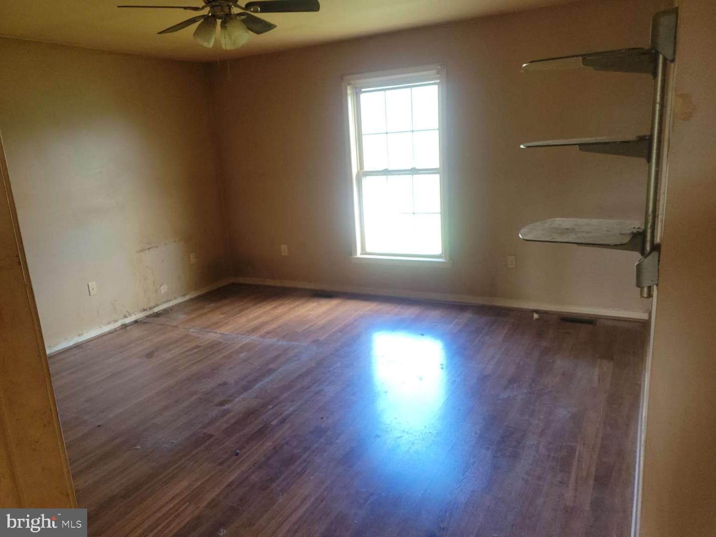 201 Steven Drive photo 15