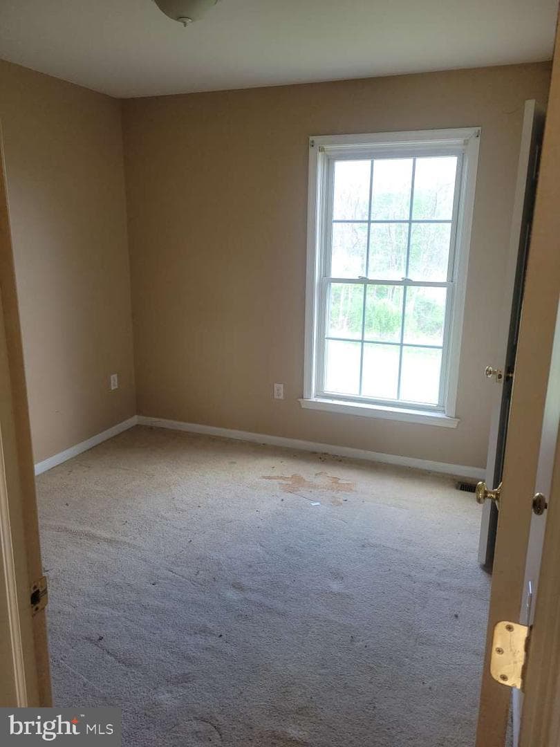 201 Steven Drive photo 20