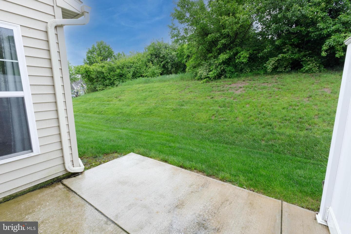 40 Wexford Court photo 34