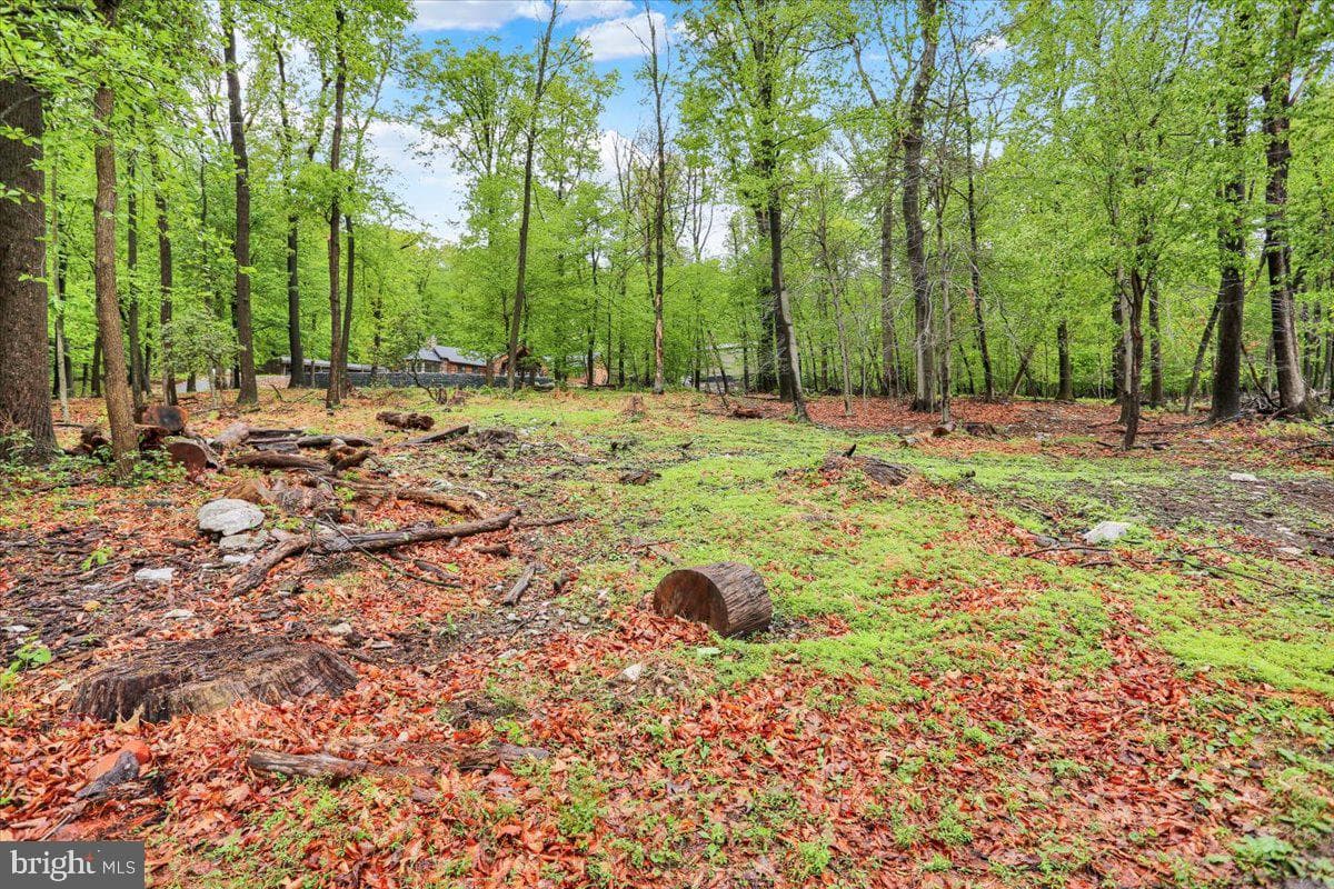 250 Skyline Drive photo 48