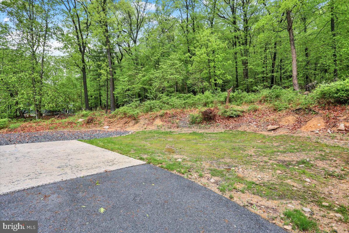 250 Skyline Drive photo 7
