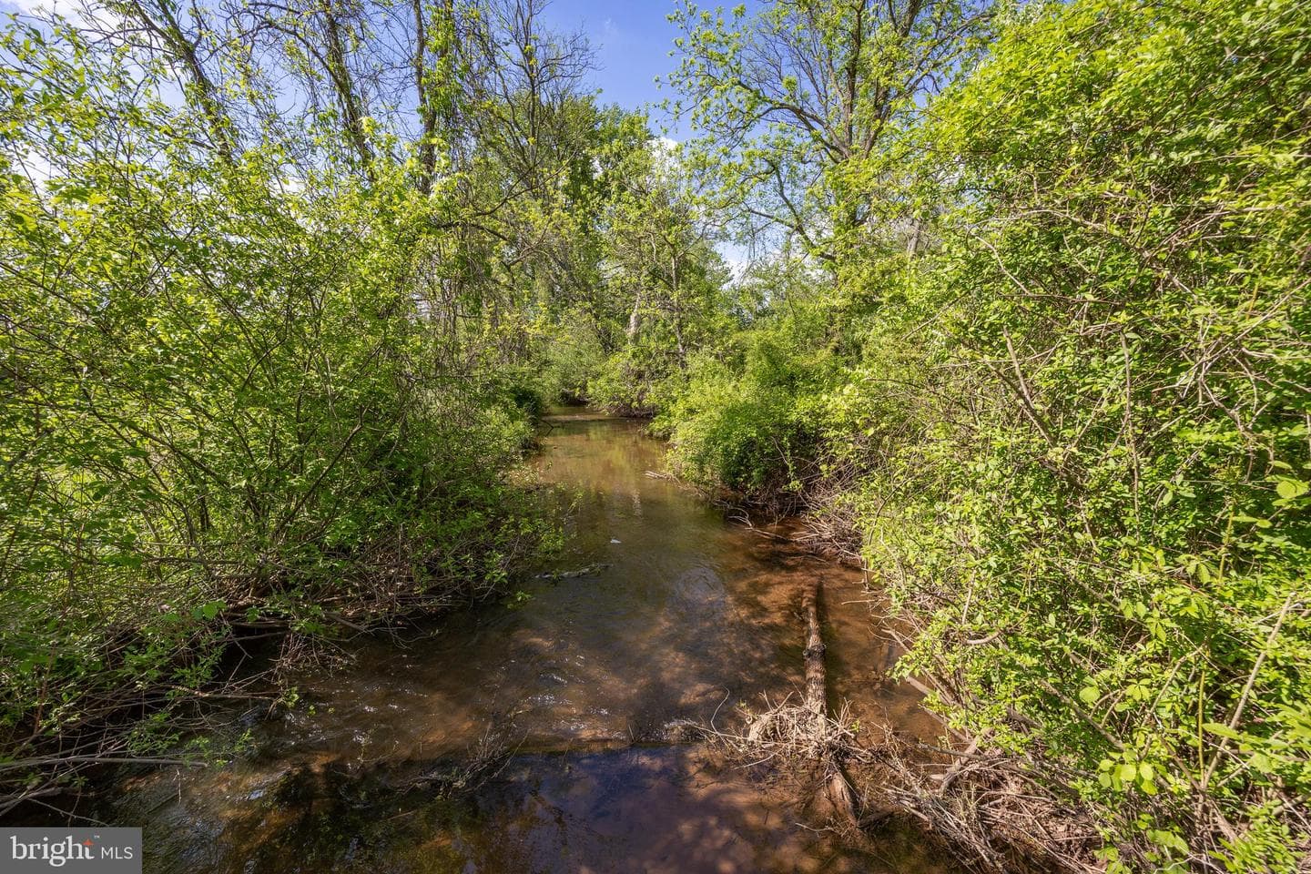 305 Gunhart Road photo 43
