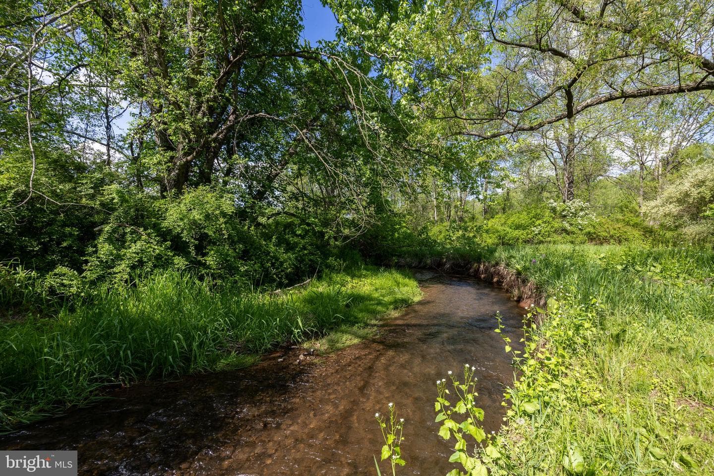 305 Gunhart Road photo 44