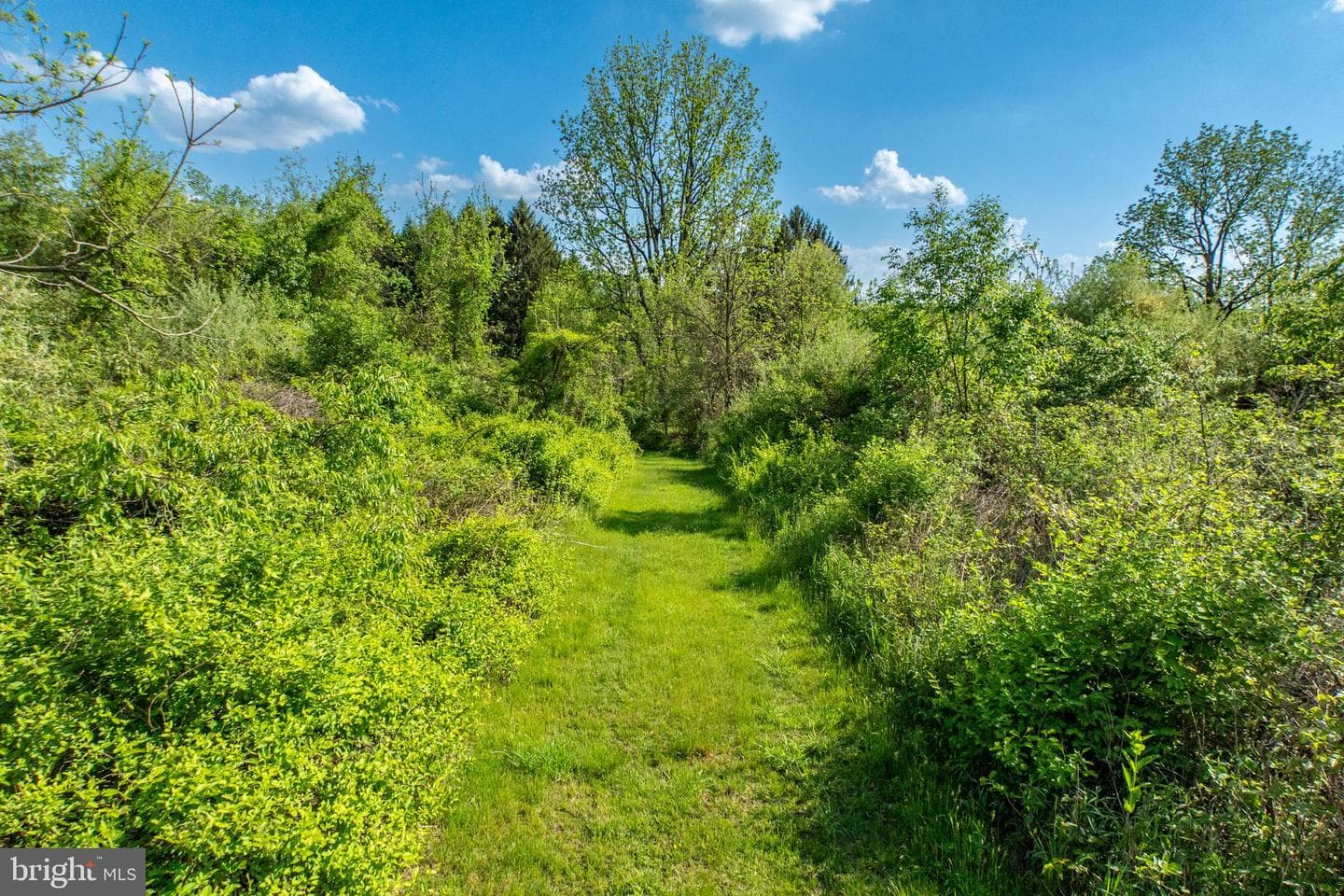 305 Gunhart Road photo 47