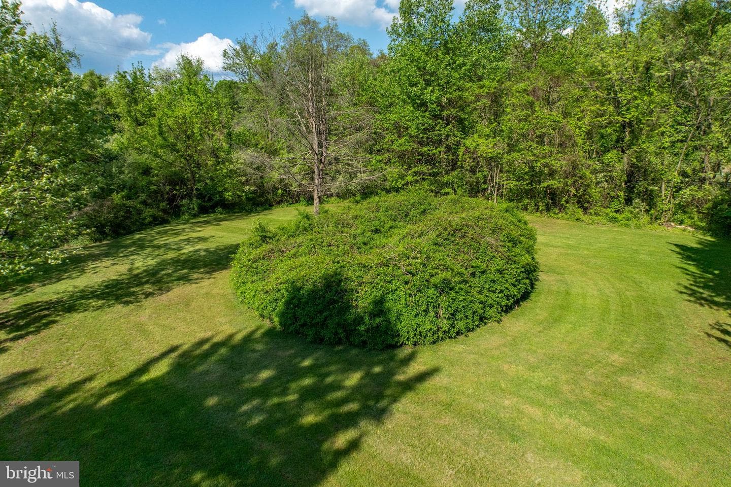 305 Gunhart Road photo 48