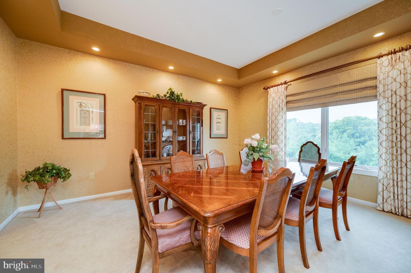 12 Chestnut Hill Drive photo 45