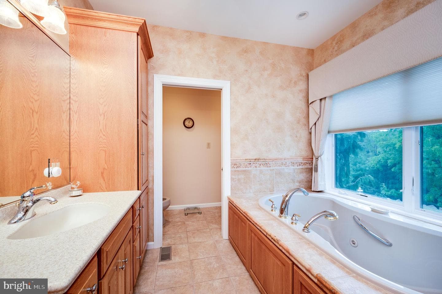 12 Chestnut Hill Drive photo 51