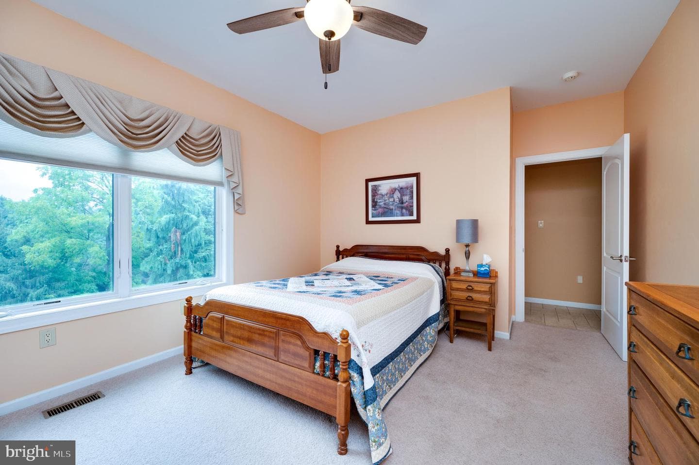 12 Chestnut Hill Drive photo 70