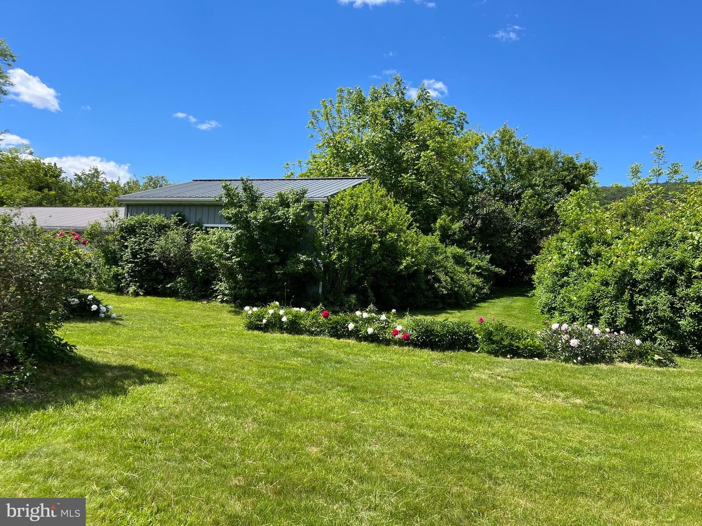 317 Machamer Road photo 7