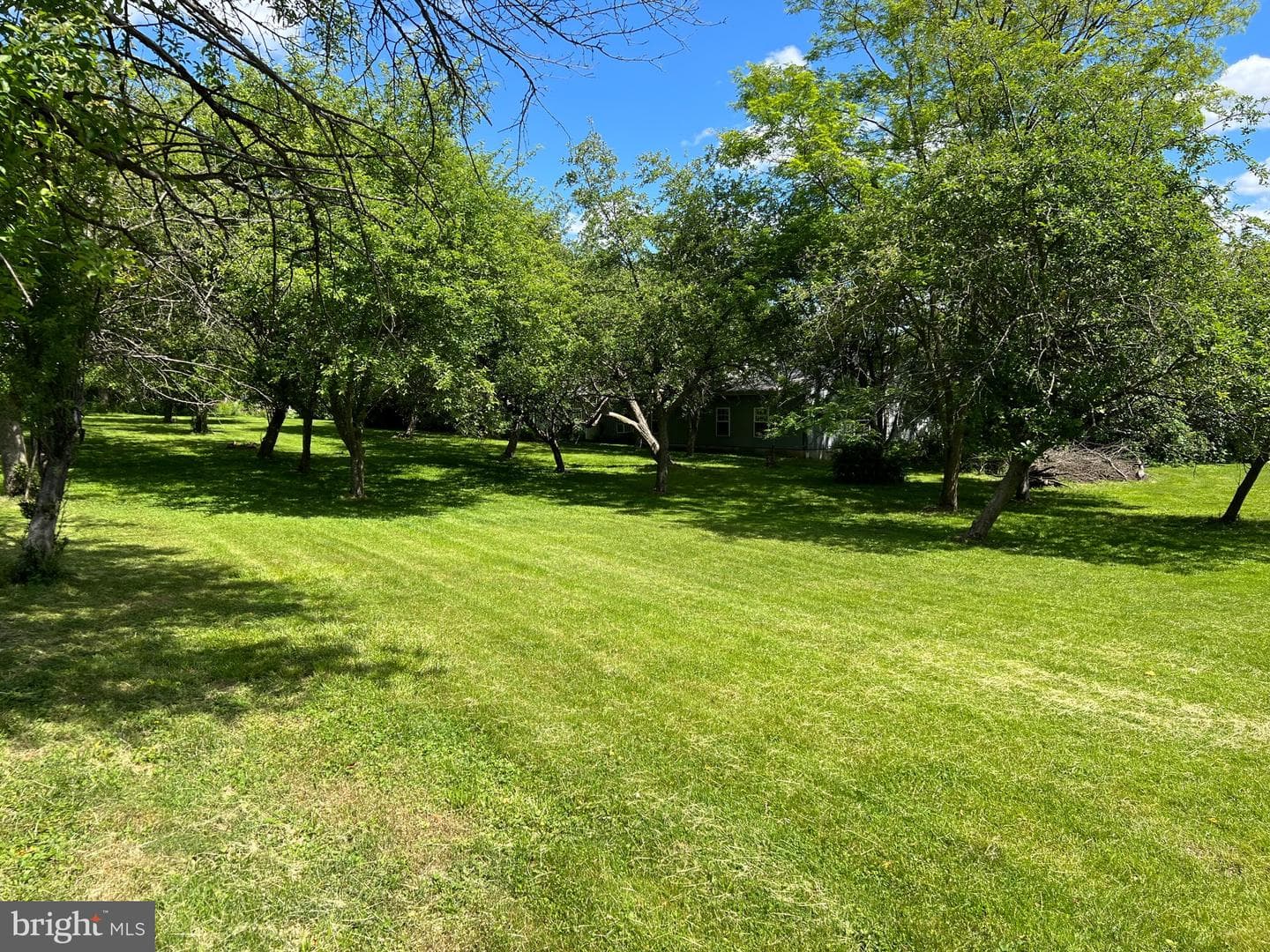 317 Machamer Road photo 9