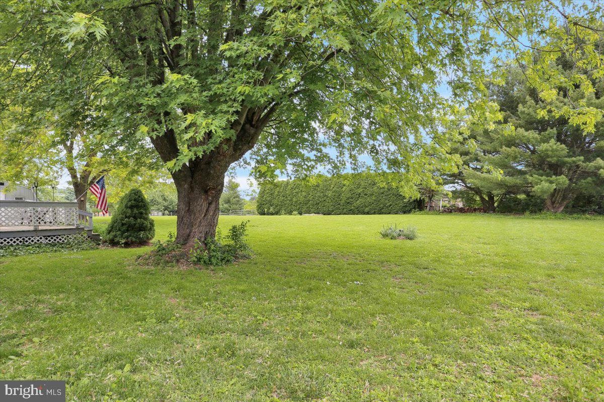 281 Sharadin Road photo 34
