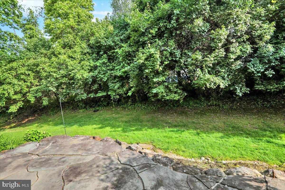 203 Barrington Drive photo 43