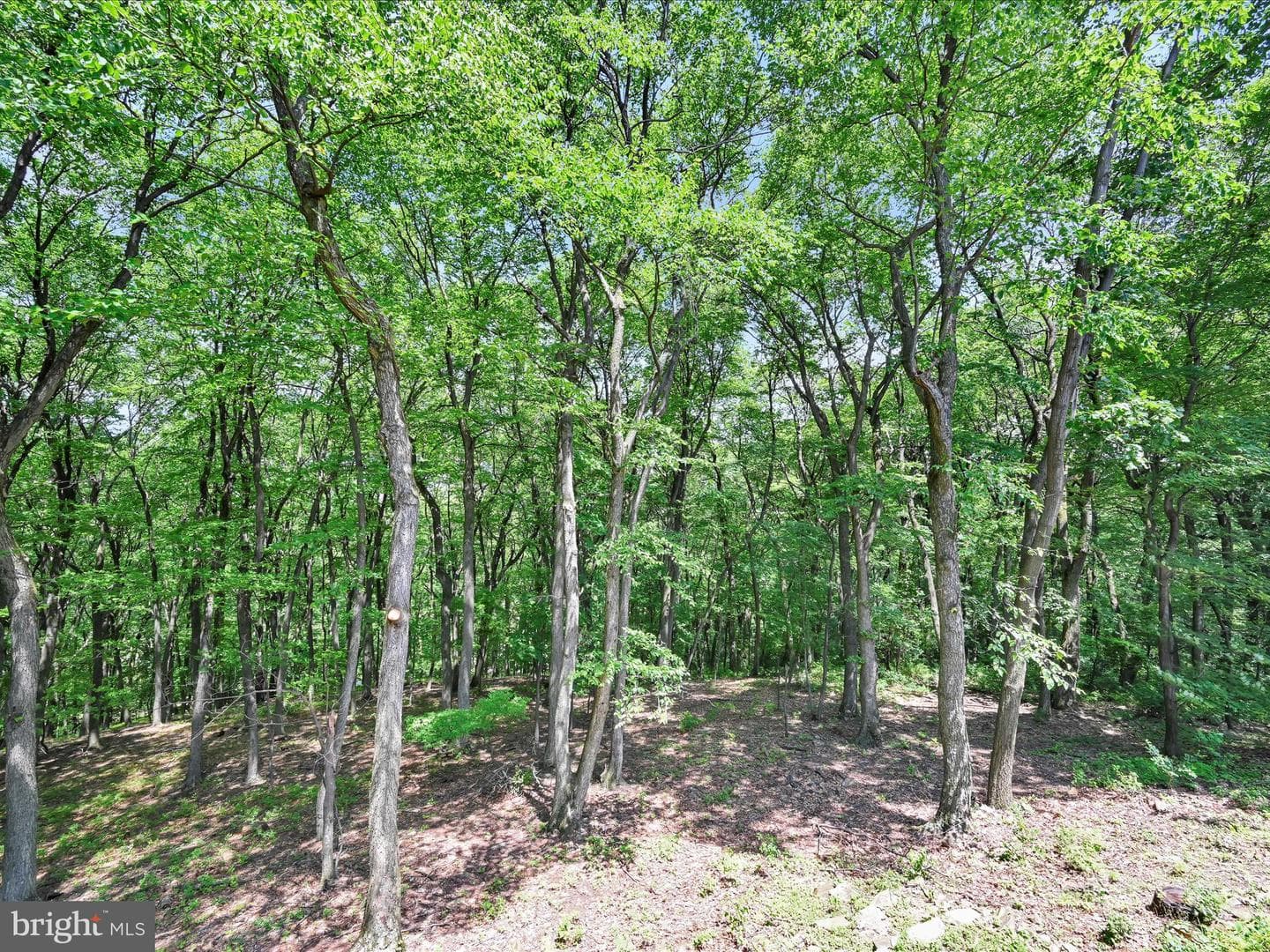1035 Hill Road photo 85