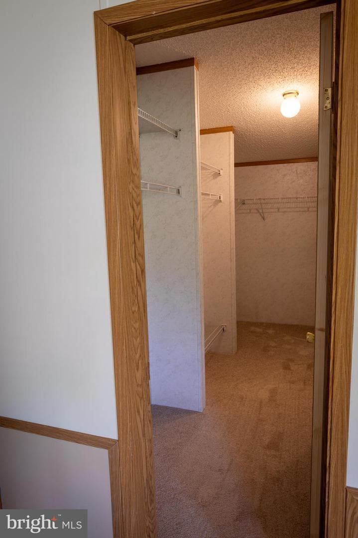510 Caravelle Lane photo 18