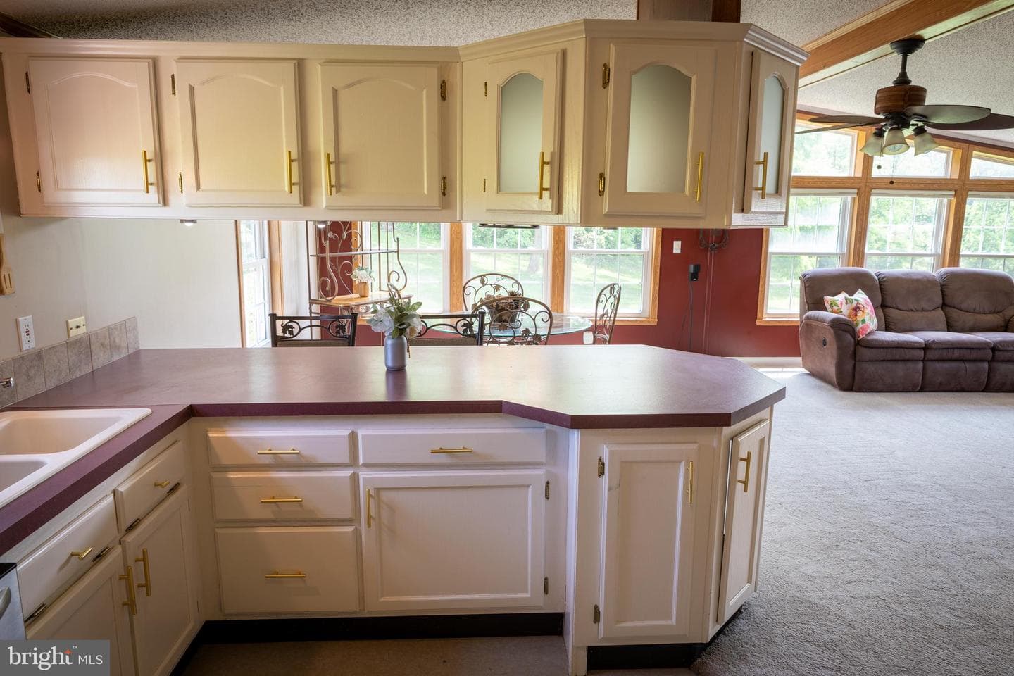 510 Caravelle Lane photo 9