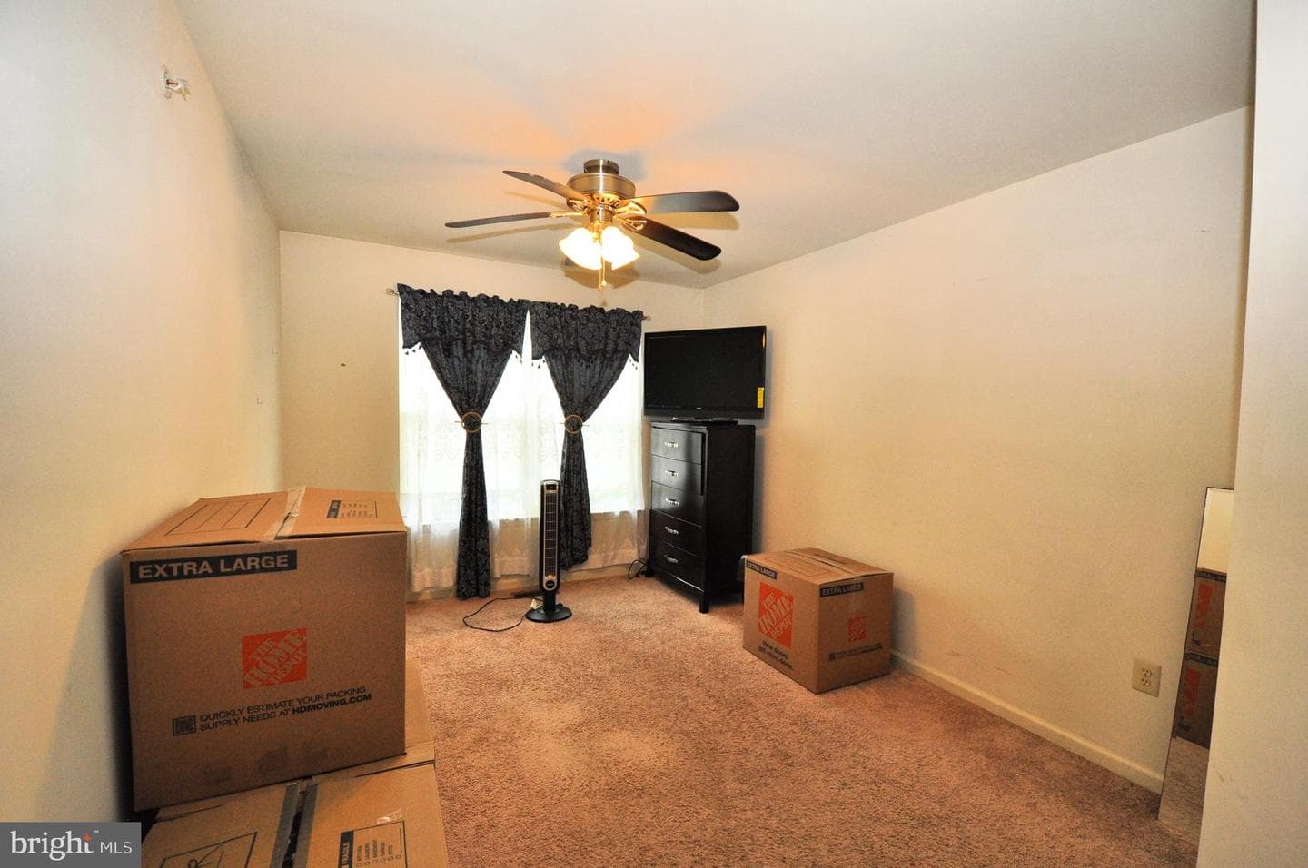 65 Emily Court photo 11