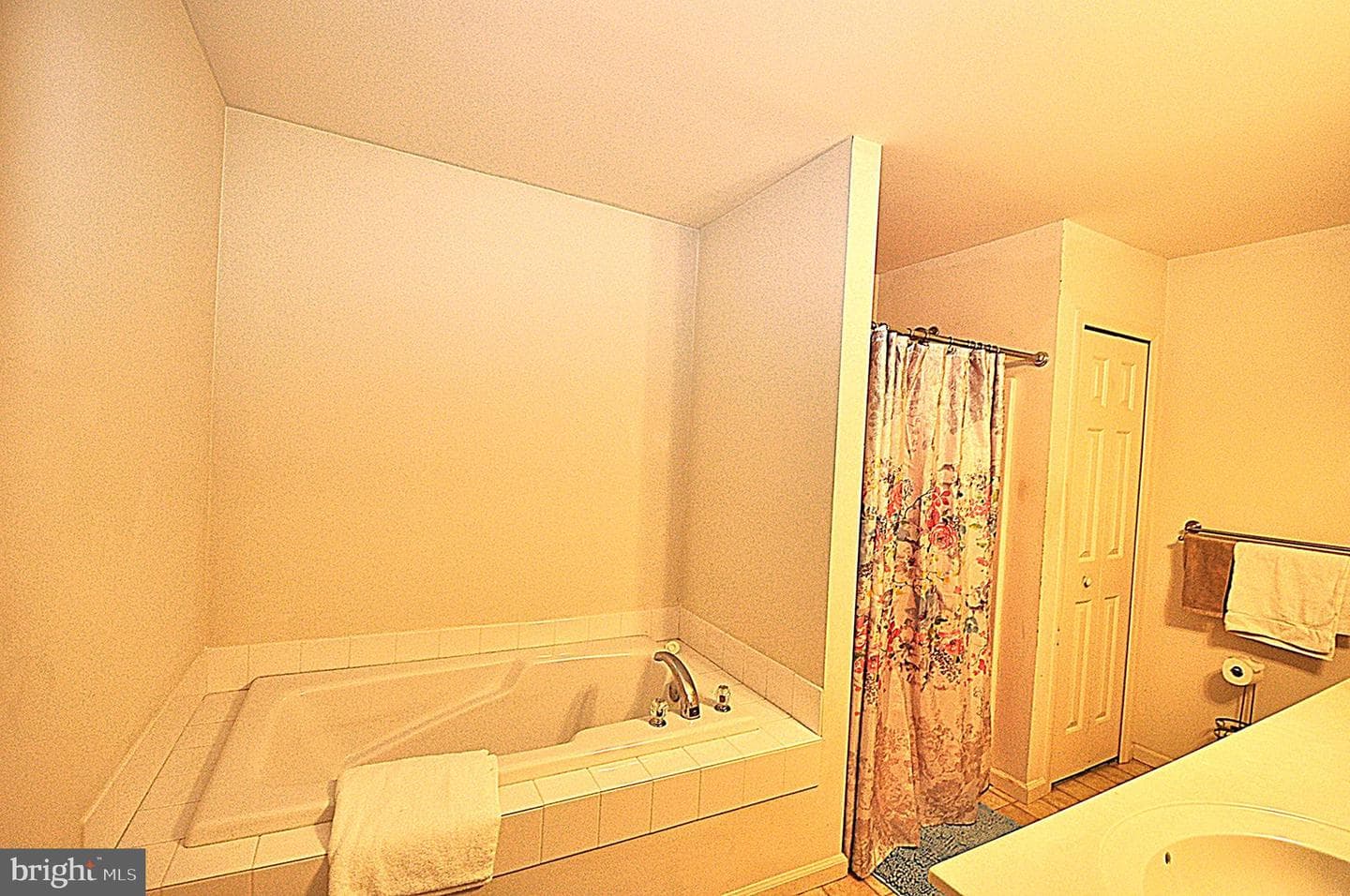 65 Emily Court photo 14