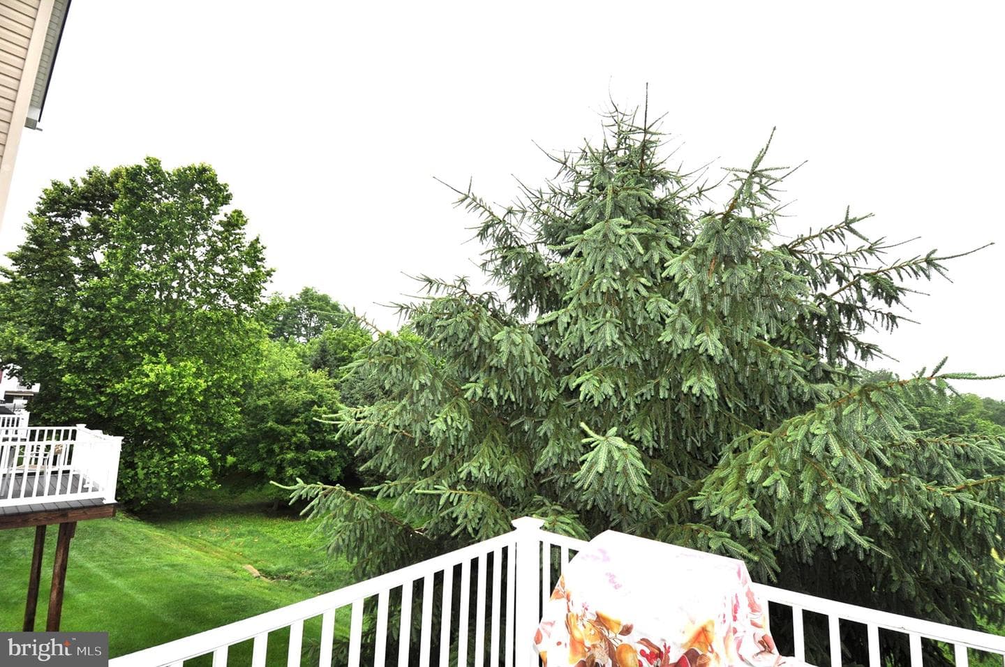 65 Emily Court photo 17