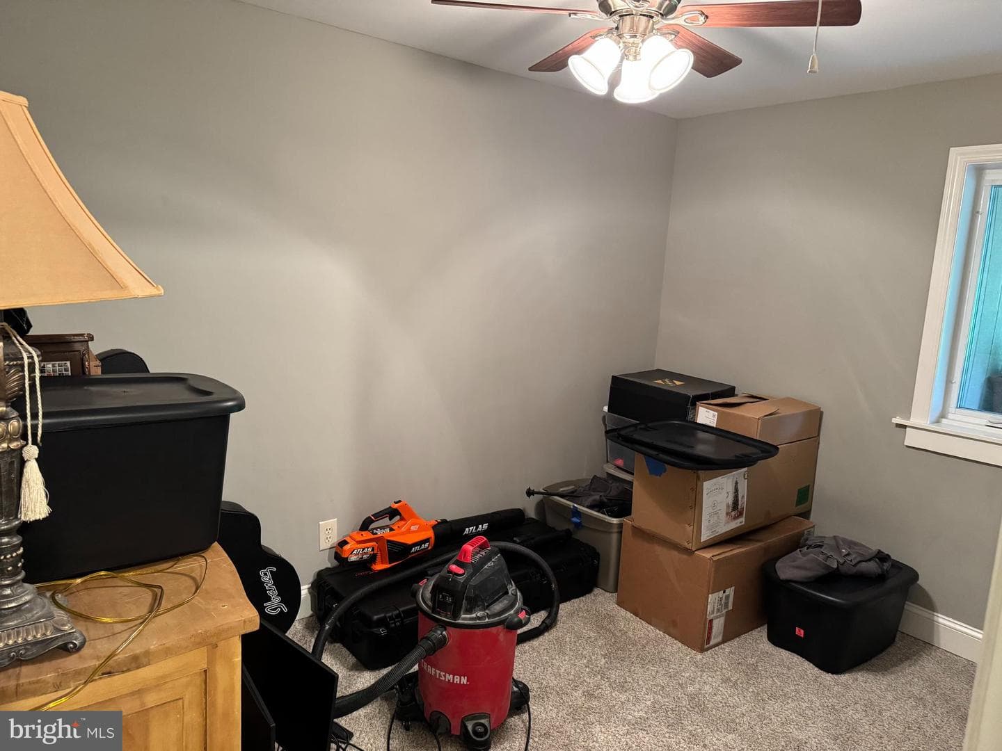 42 Reed Street photo 9