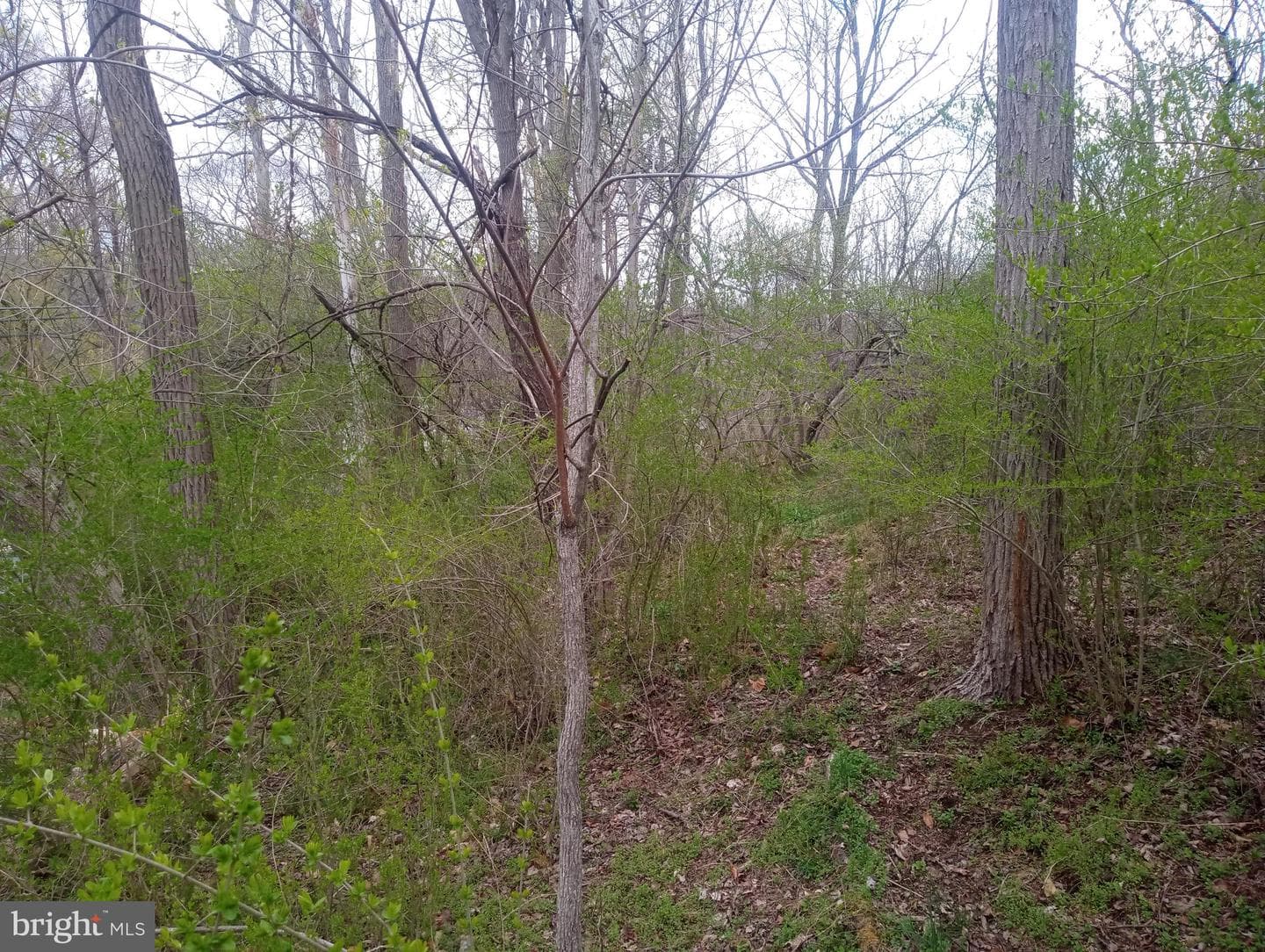 875 Krumsville Road photo 4