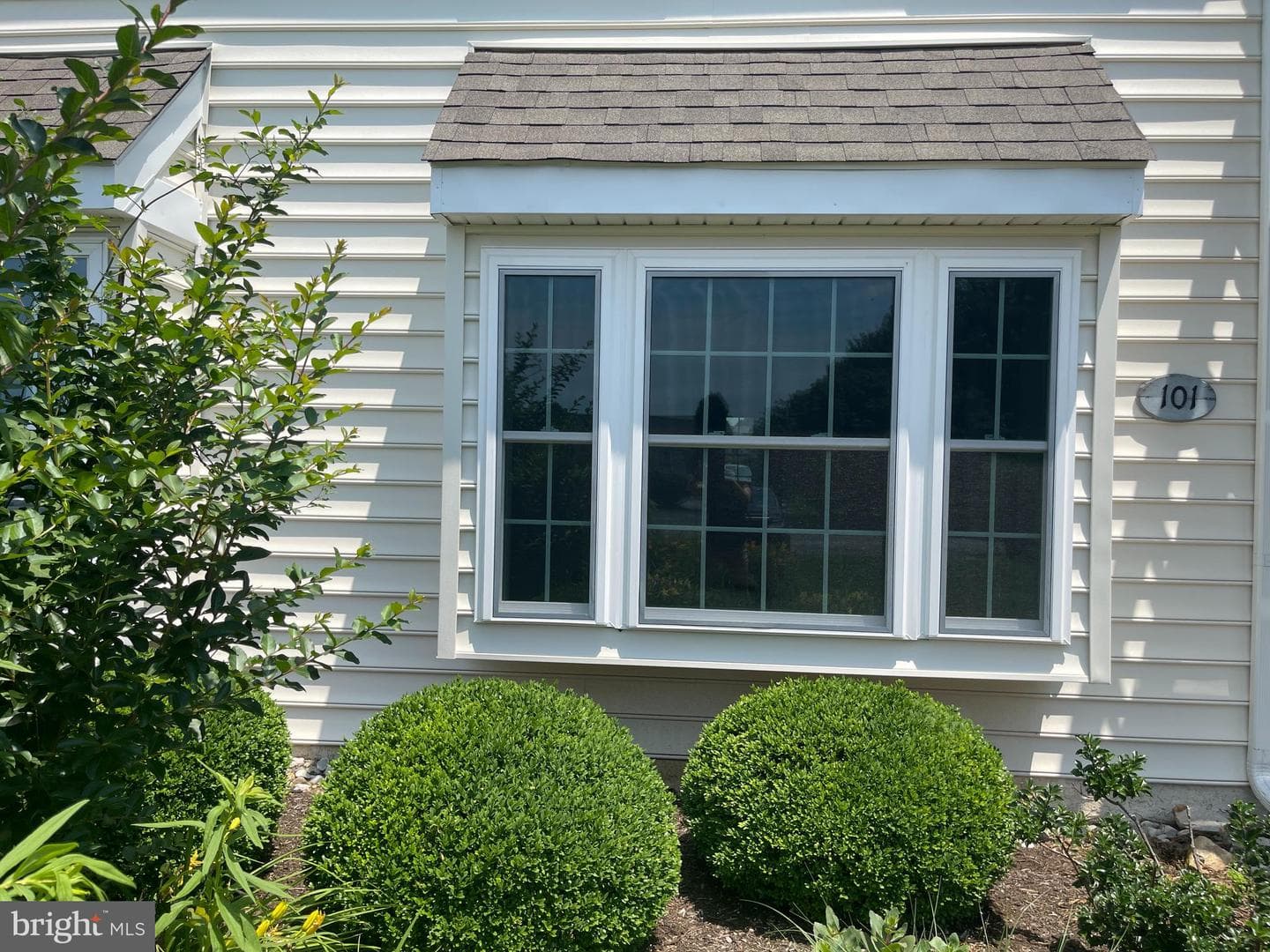 101 Lexington Way photo 4