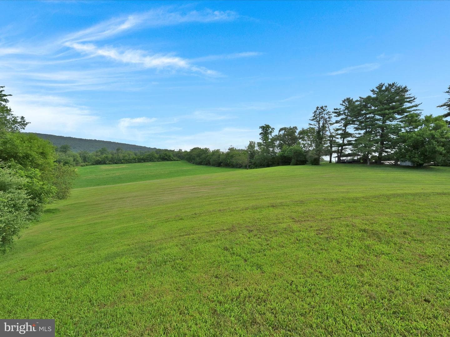 21 Blue Rocks Road photo 35