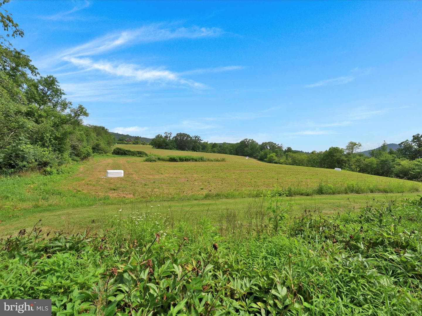 21 Blue Rocks Road photo 40