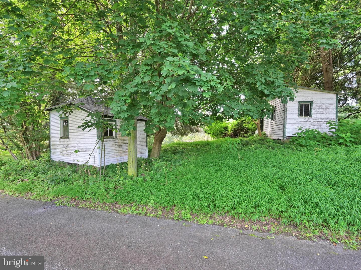 21 Blue Rocks Road photo 41
