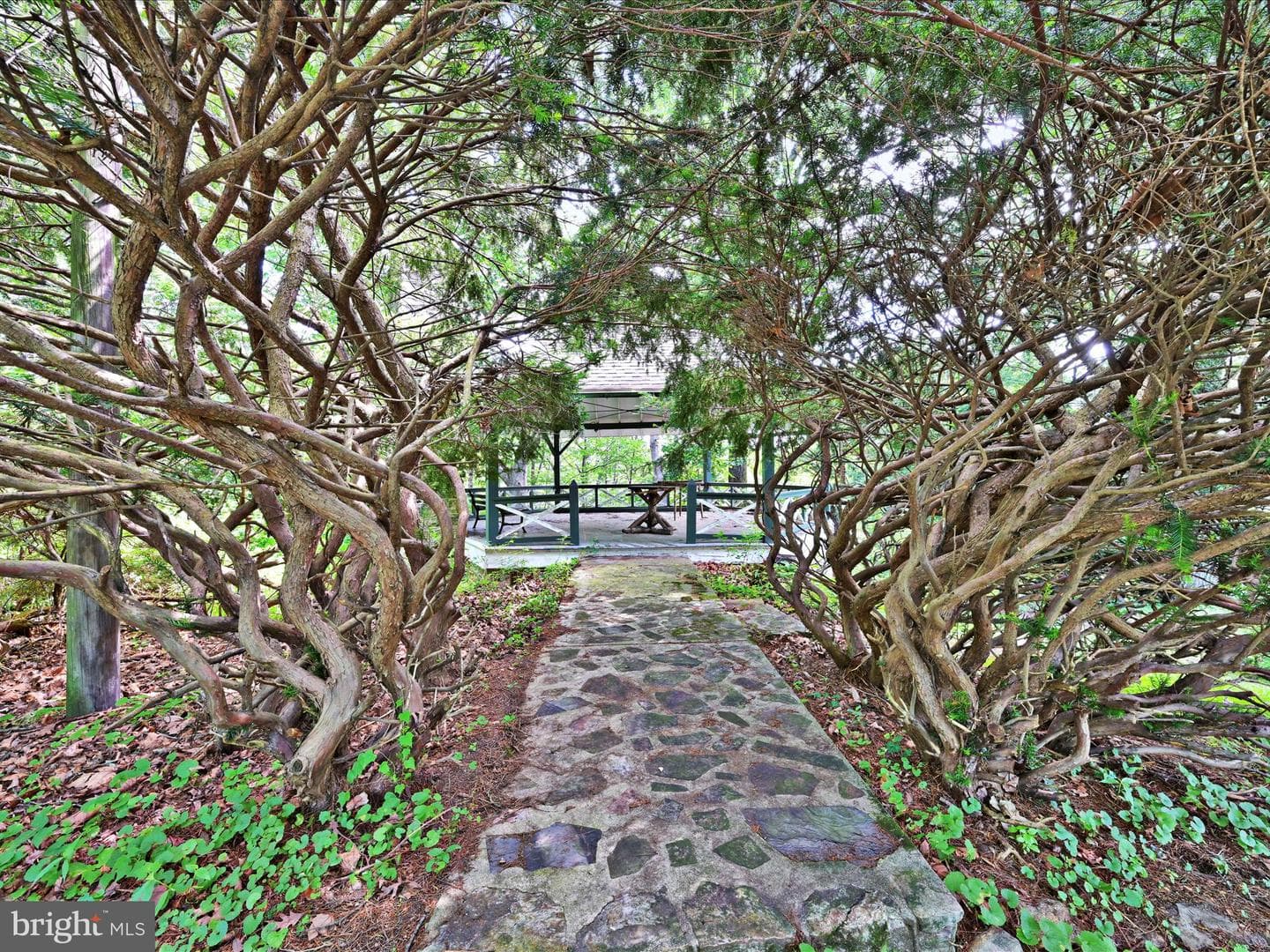 21 Blue Rocks Road photo 5