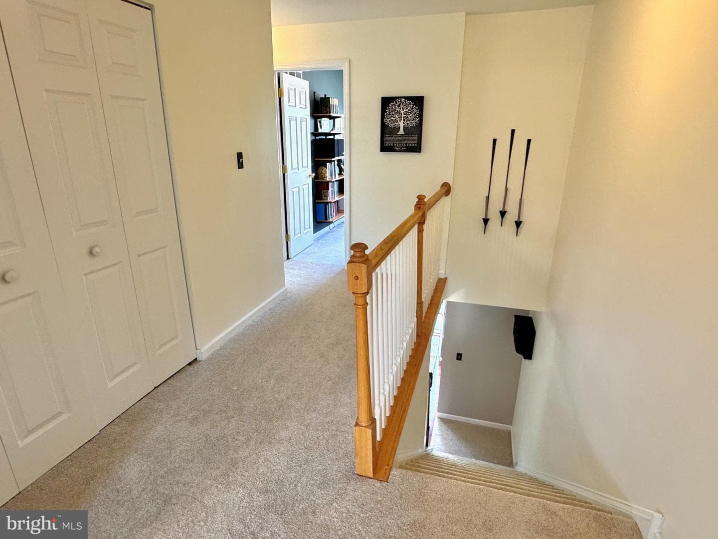 16 Seltzer Avenue photo 16