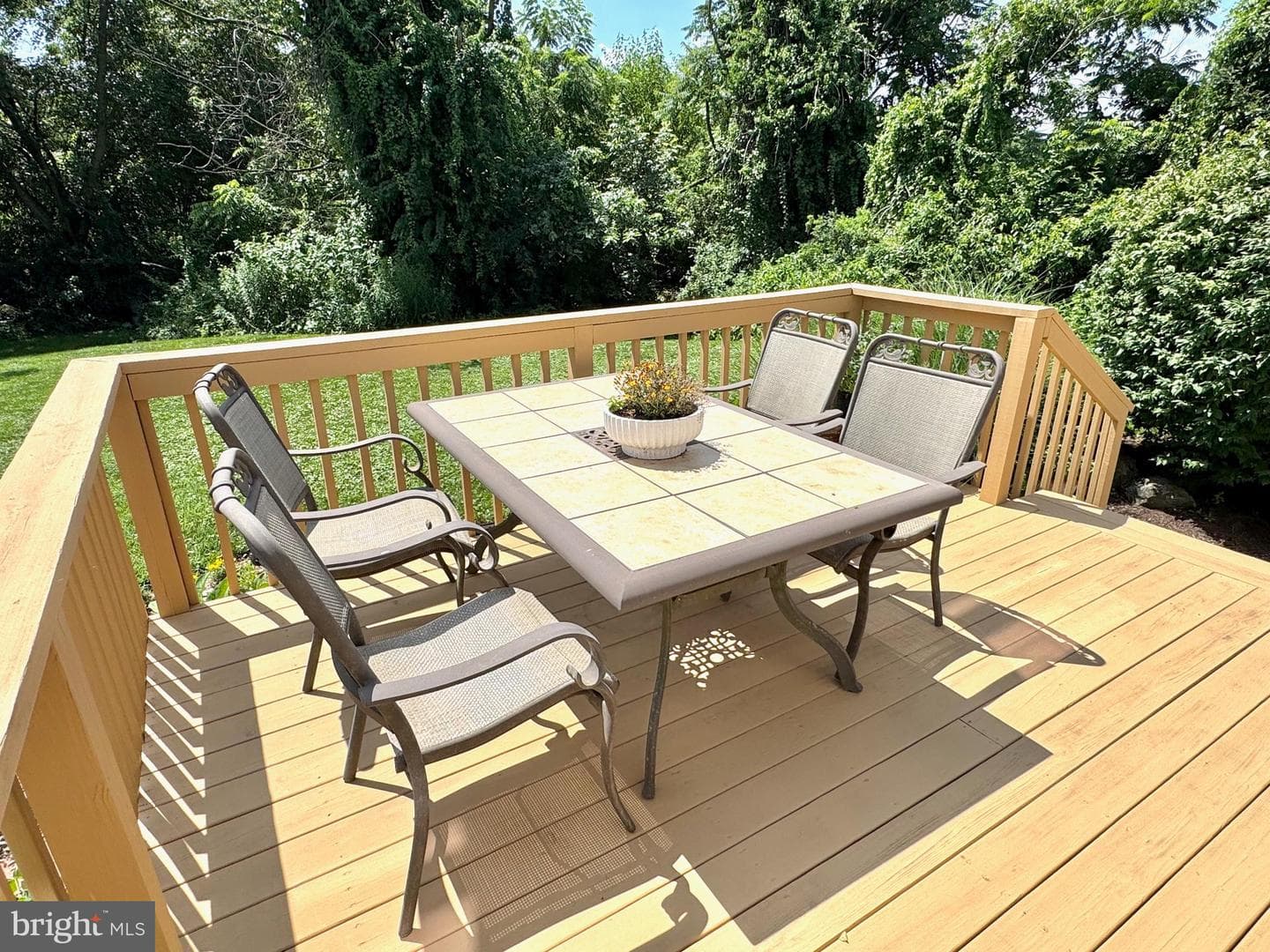 16 Seltzer Avenue photo 38