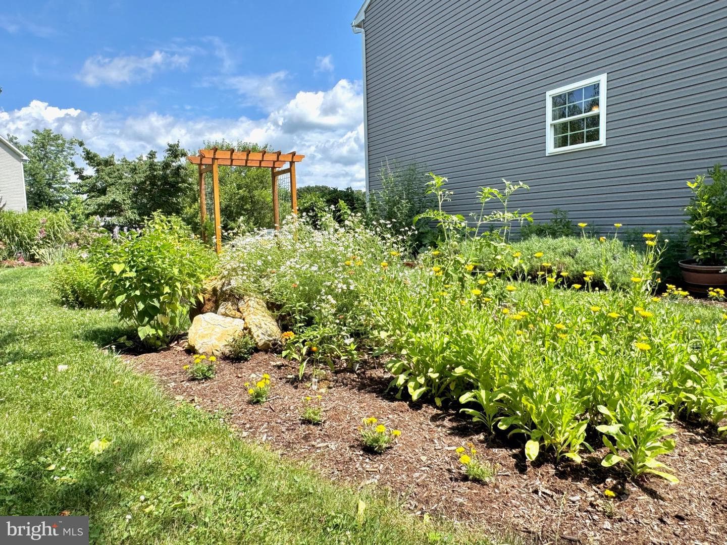 16 Seltzer Avenue photo 40