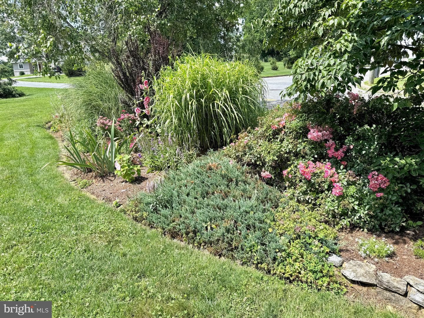 16 Seltzer Avenue photo 42