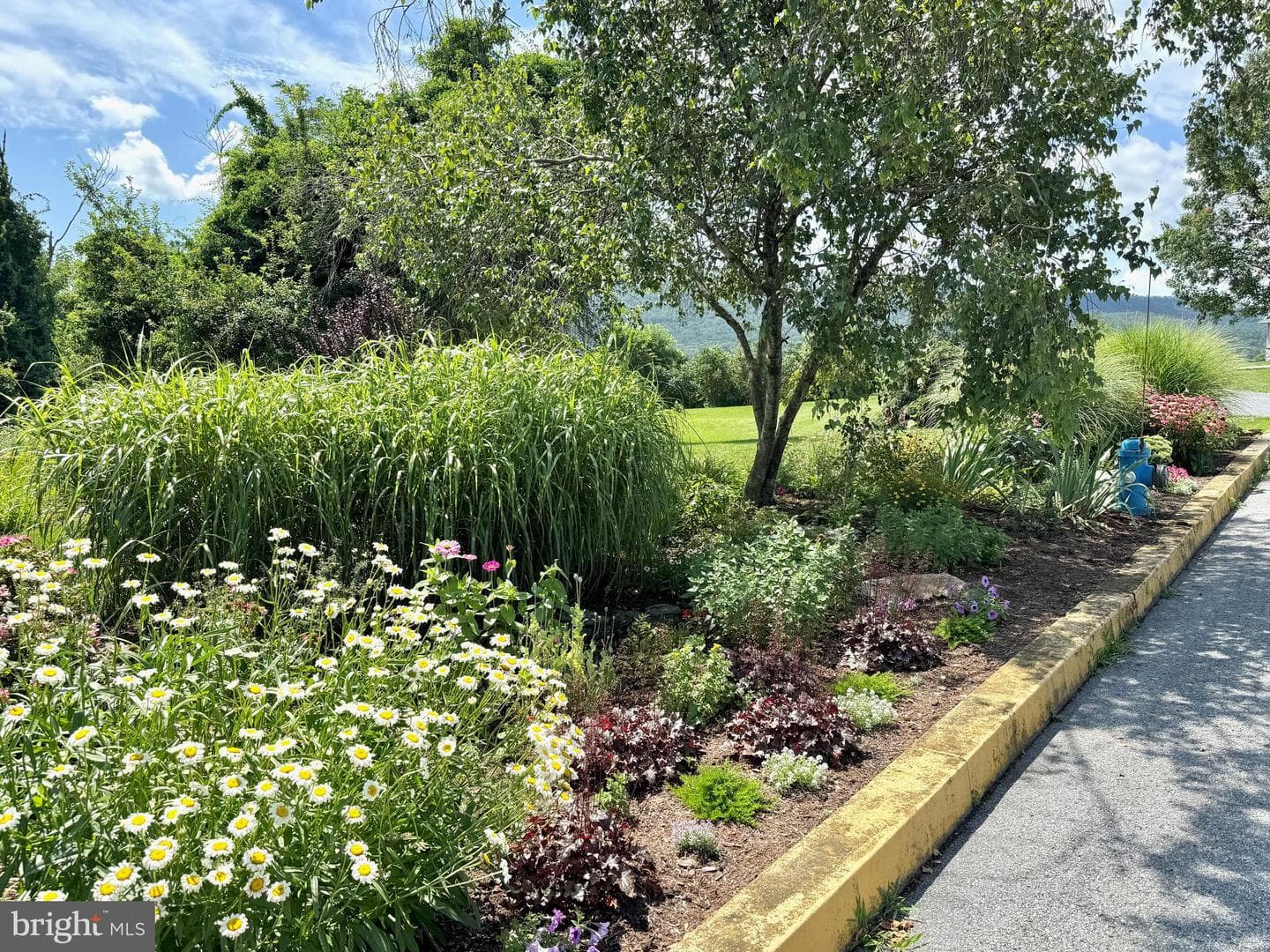 16 Seltzer Avenue photo 43