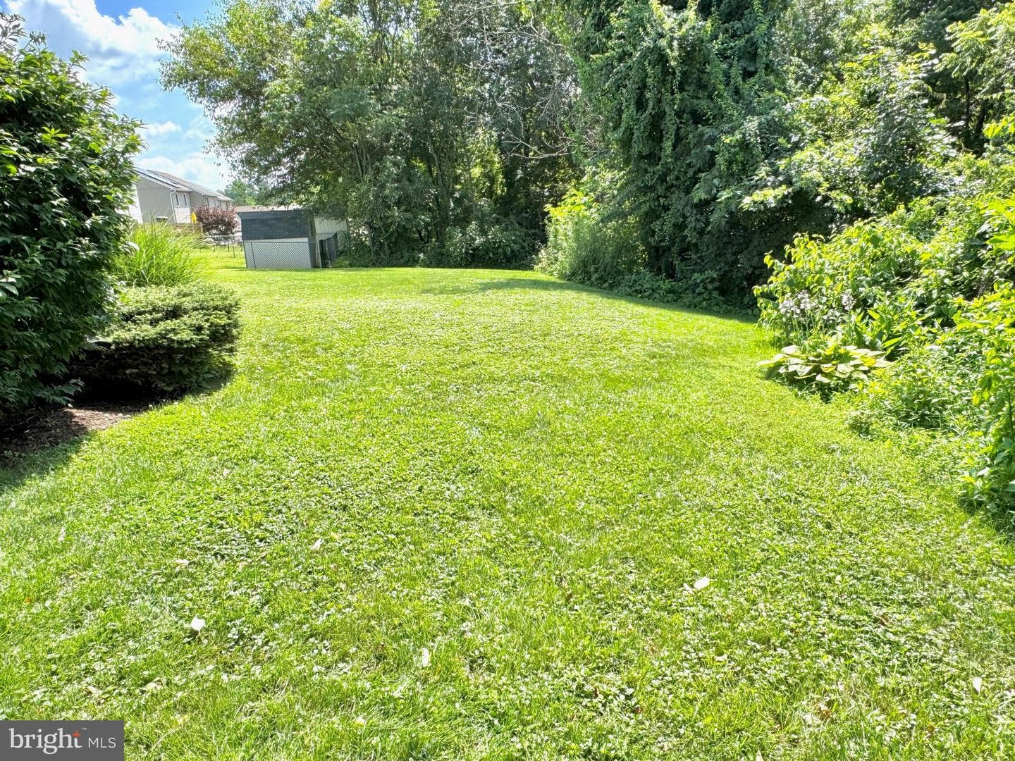 16 Seltzer Avenue photo 44