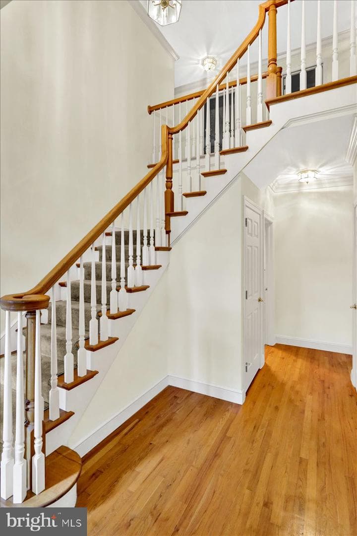 61 Grandview photo 8