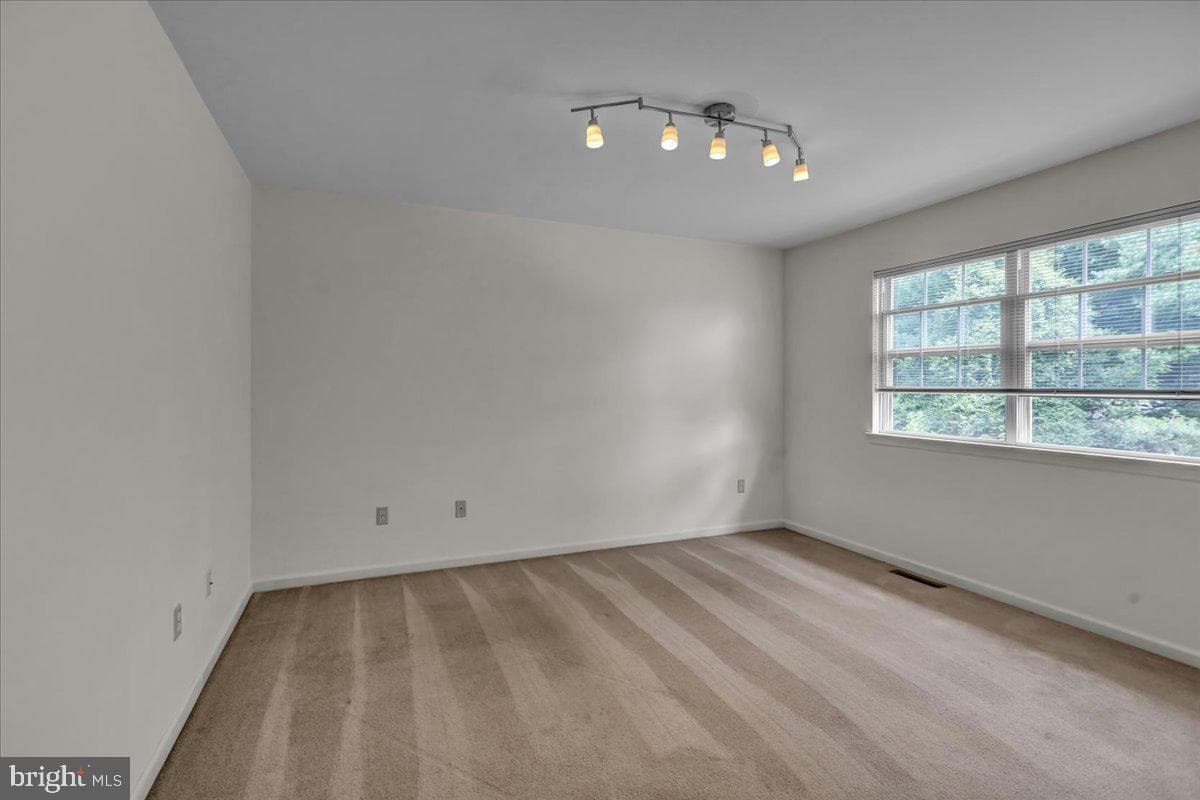17 Charlemont Court photo 23