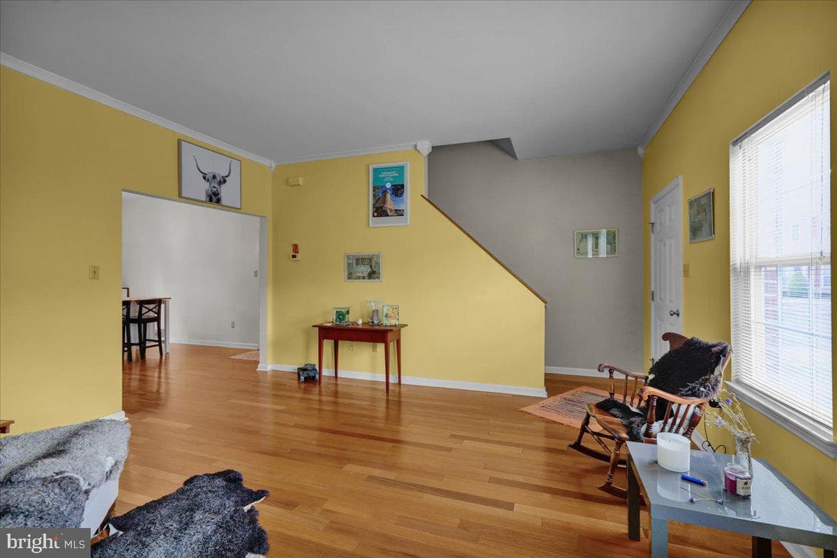 17 Charlemont Court photo 7