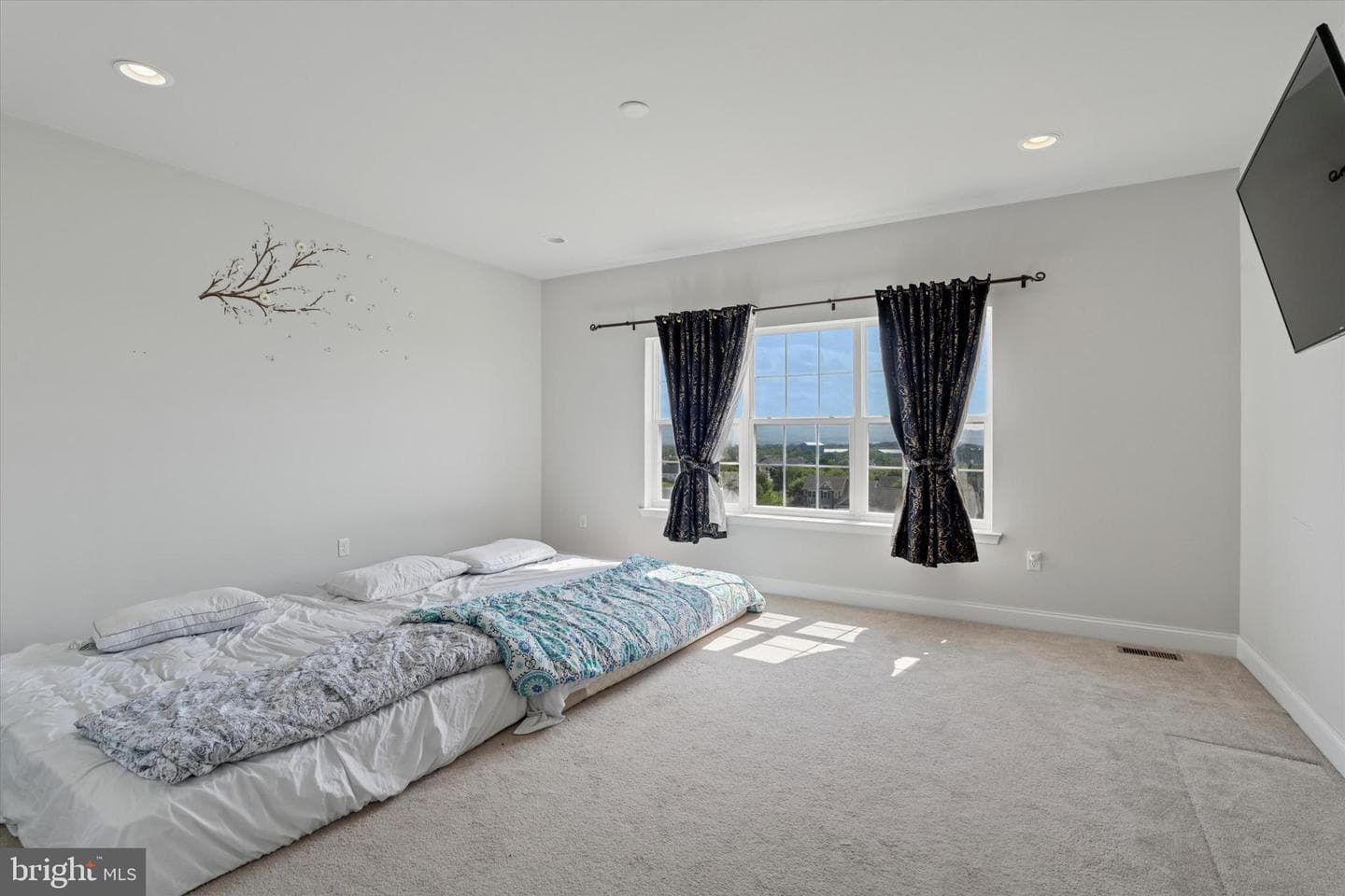 217 Woodbrook Drive photo 22