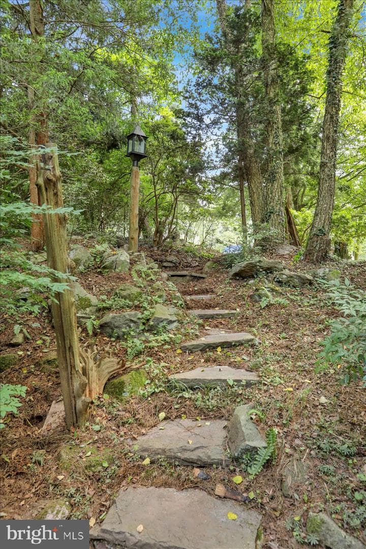 843 Ridgeway Road photo 30