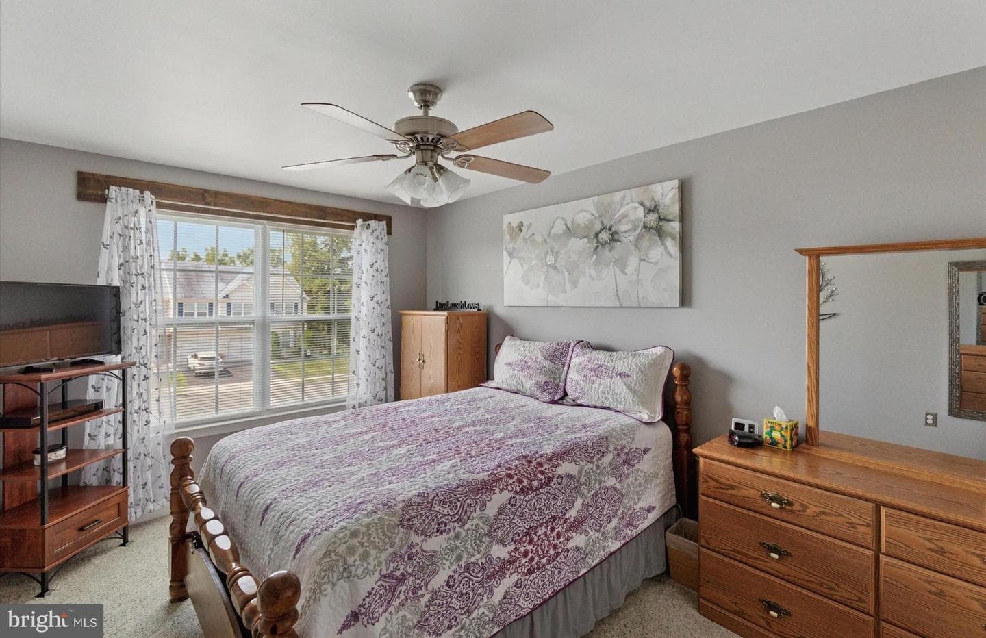 7 Emily Court photo 18