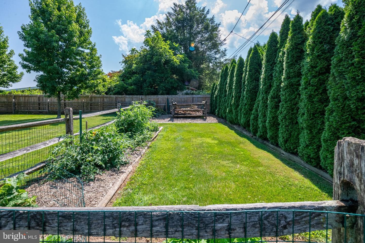 25 Radcliff Road photo 36