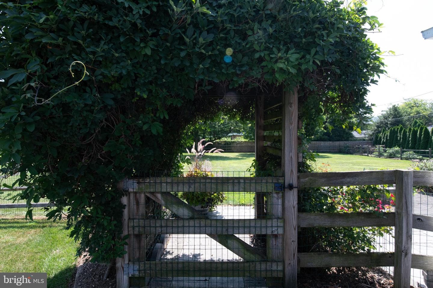 25 Radcliff Road photo 40