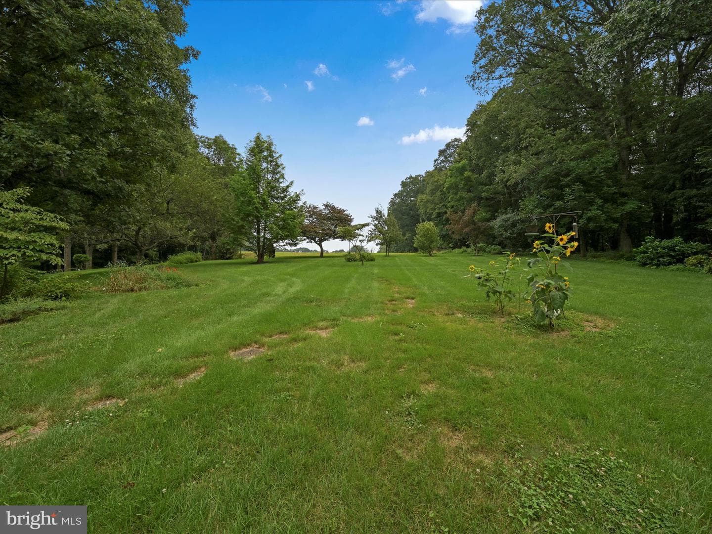 6 Heffner Road photo 28