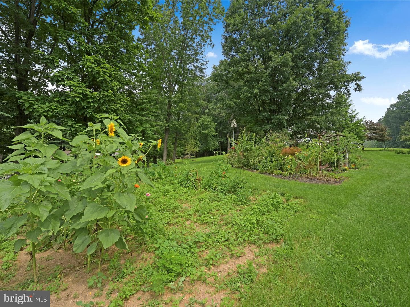 6 Heffner Road photo 29