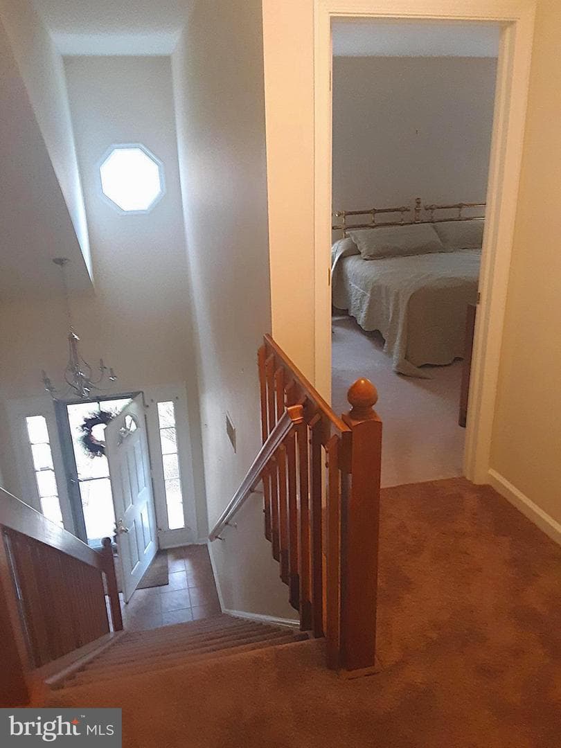 118 Primrose Lane photo 24