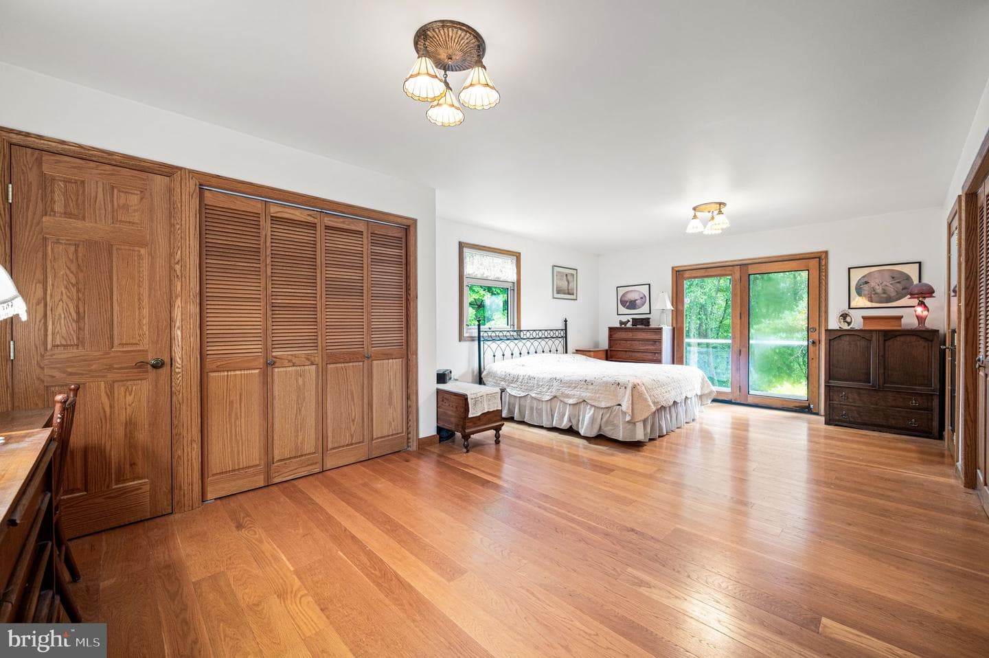 38 Lutz Road photo 16